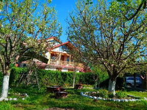 Vamoose Rangri Homestay